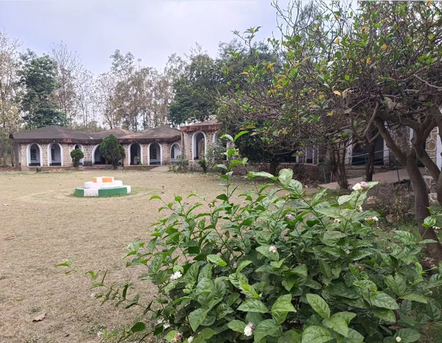 Library
